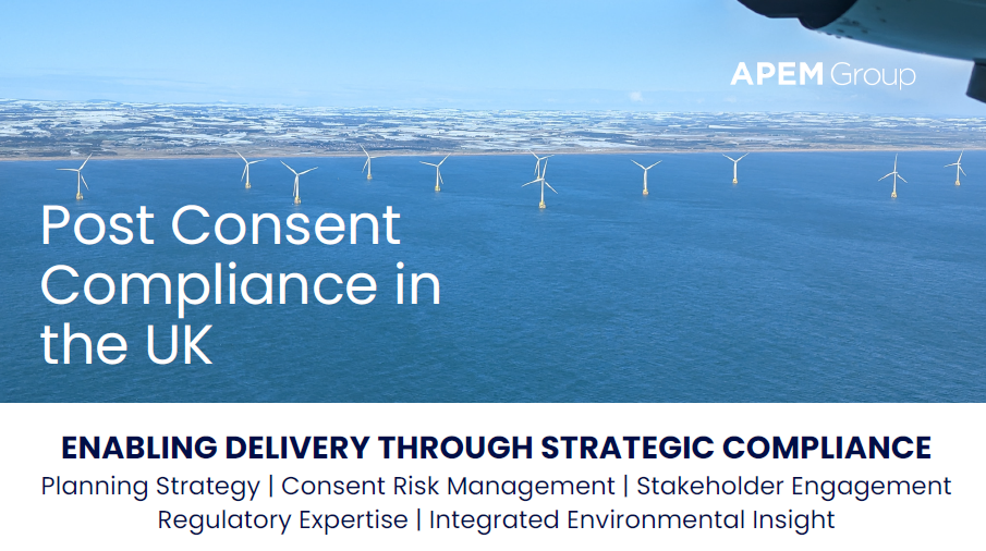 PCC capability statement download preview