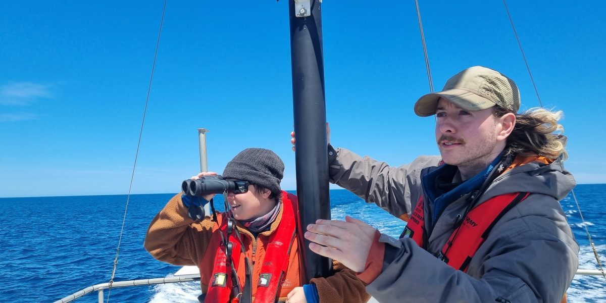 20251106 134014 scaled aspect ratio 1200 600 aspect ratio 1200 600