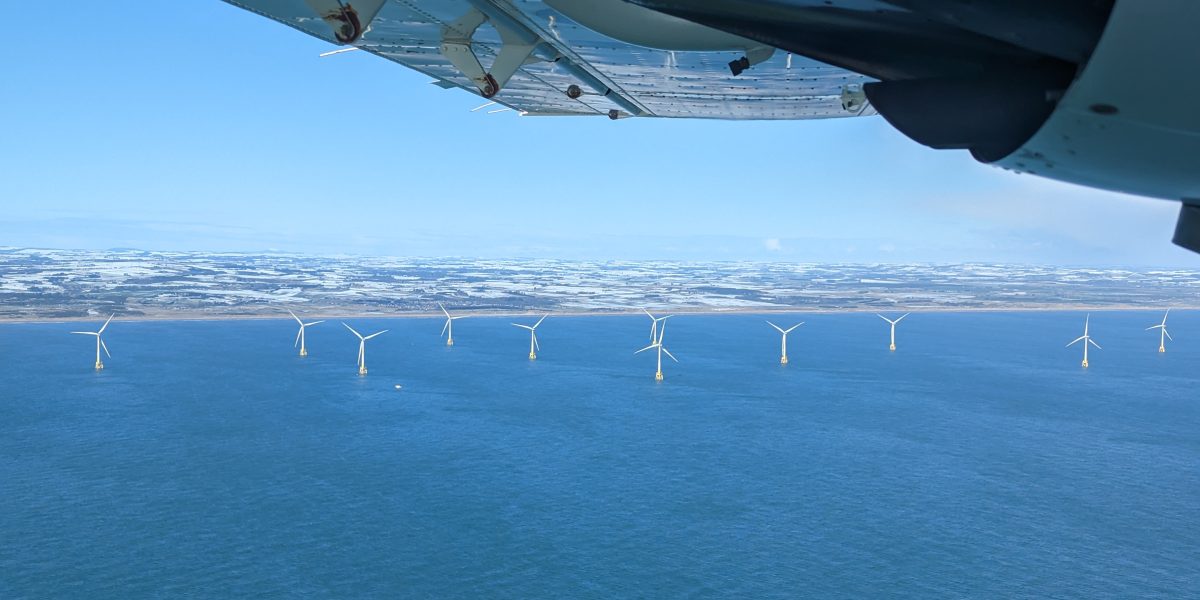 APEM Thistle Wind by Henry Kirby scaled aspect ratio 1200 600