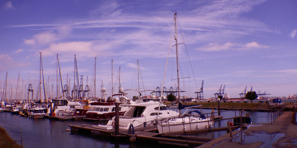 DSCN0824 scaled aspect ratio 1200 600