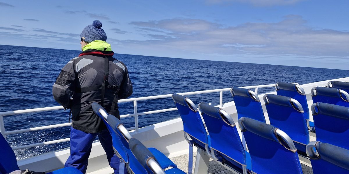 Marine mammal c J.Botha 9 scaled aspect ratio 1200 600 aspect ratio 1200 600