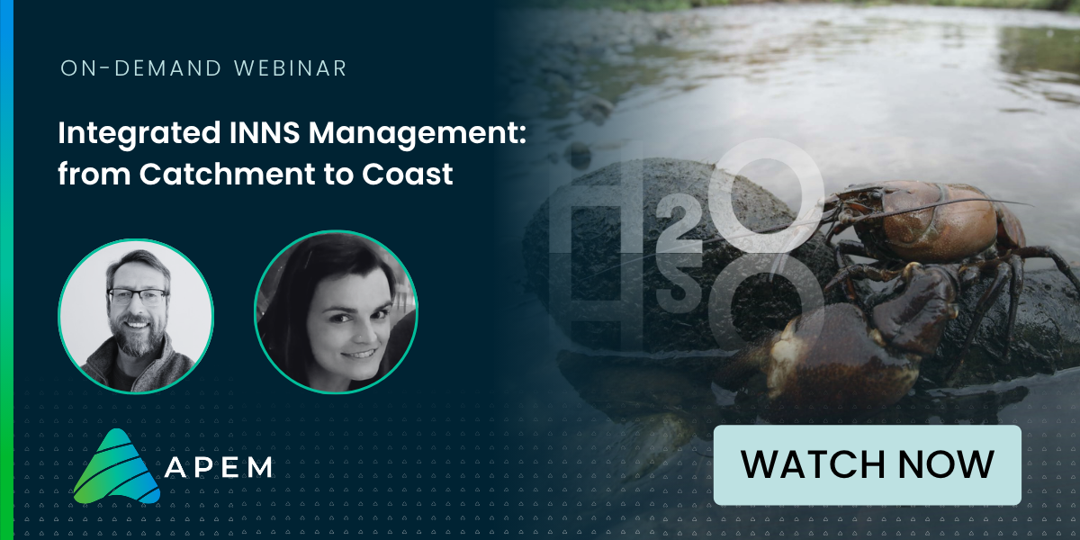 Post Webinar aspect ratio 1200 600